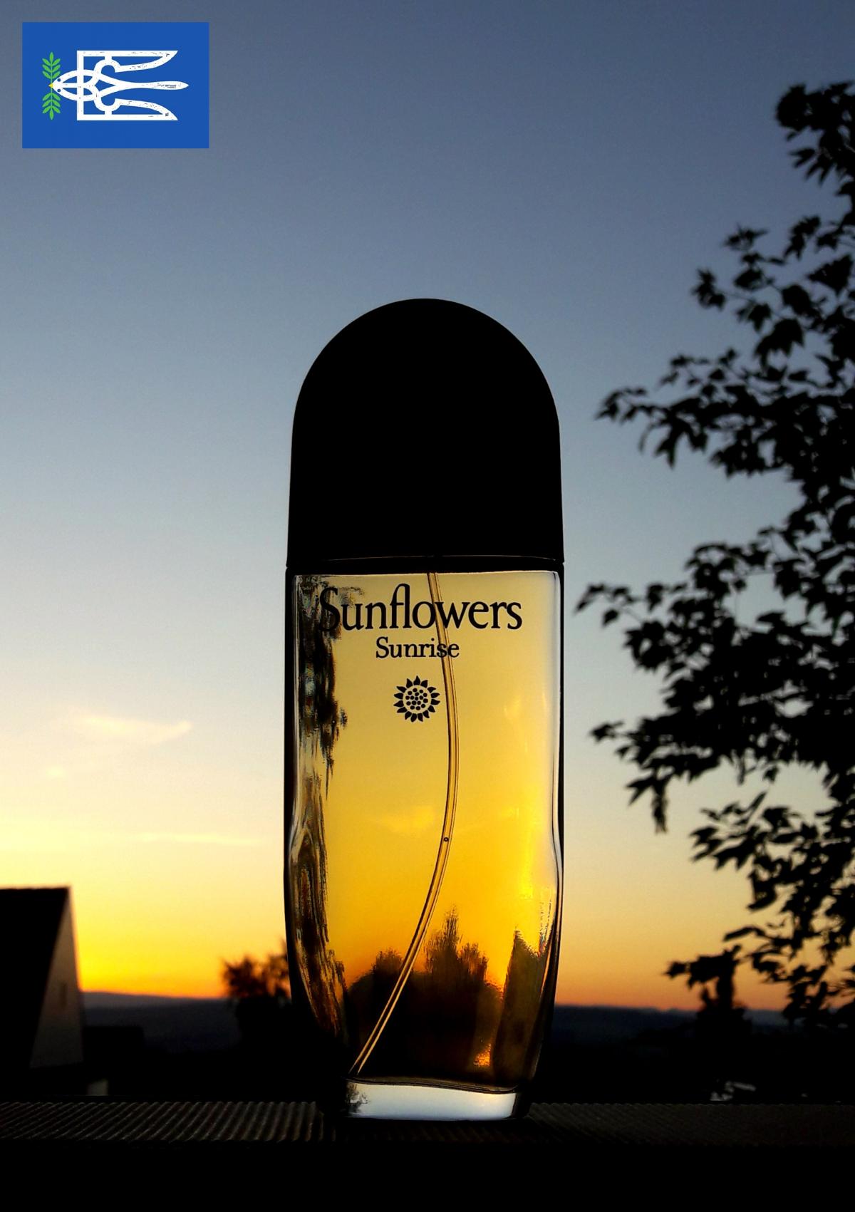 Sunflowers Sunrise - Elizabeth Arden - Gallery 2