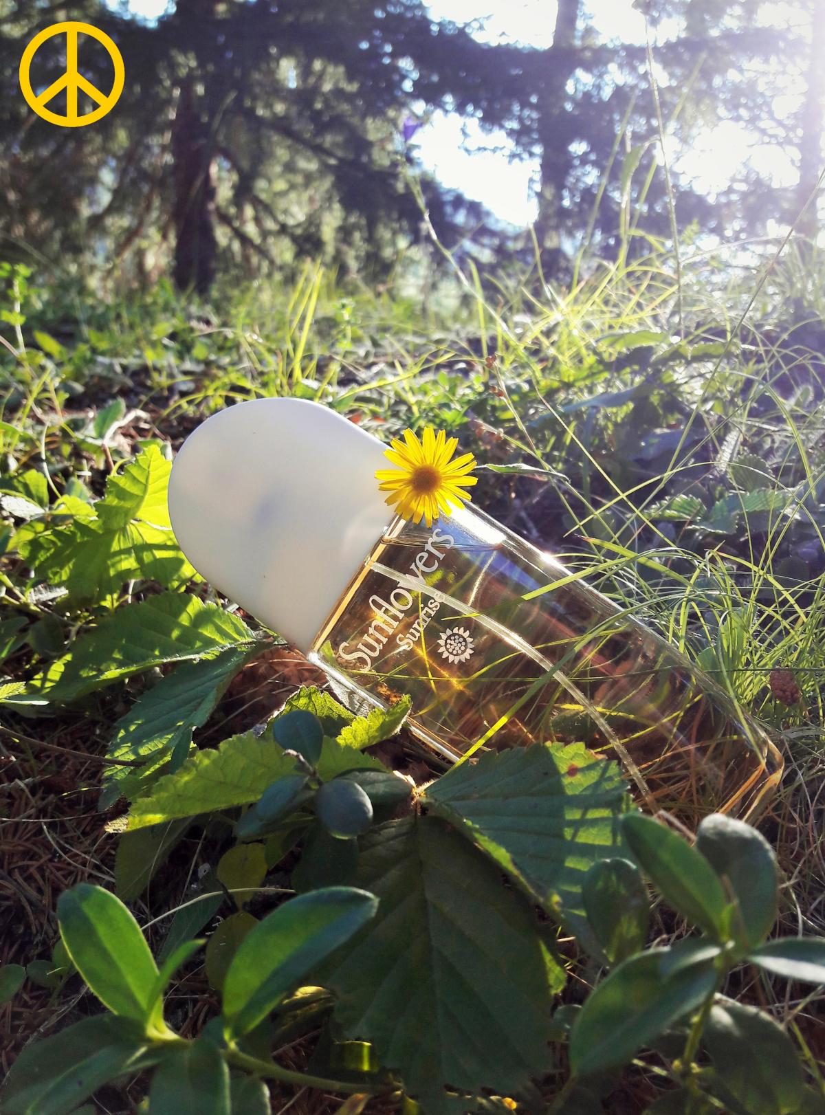 Sunflowers Sunrise - Elizabeth Arden - Gallery 3