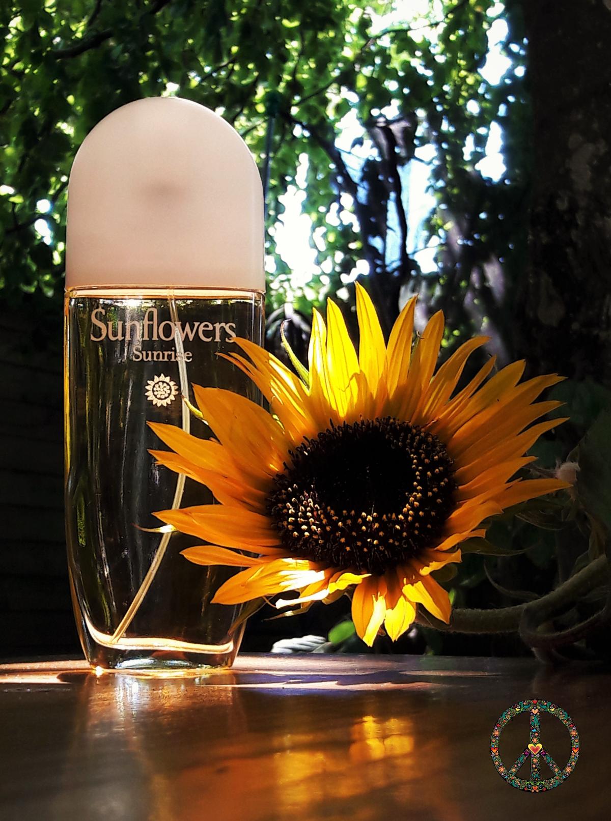 Sunflowers Sunrise - Elizabeth Arden - Gallery 4