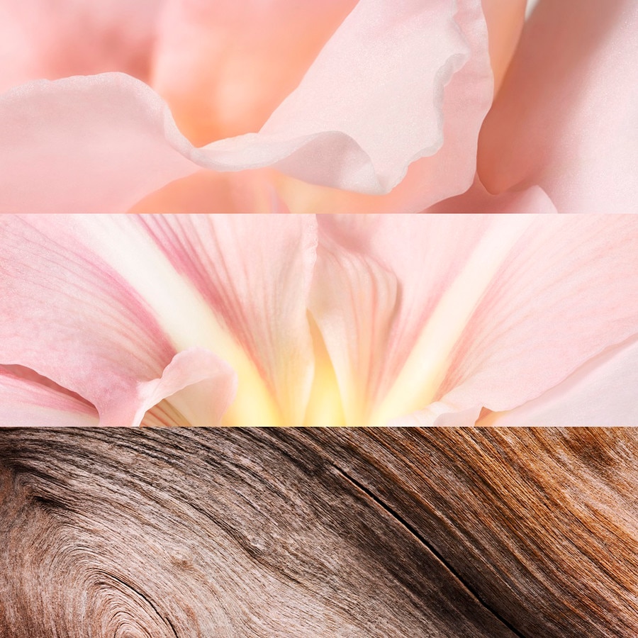 Sunlight Lumiere - Jil Sander - Gallery 1