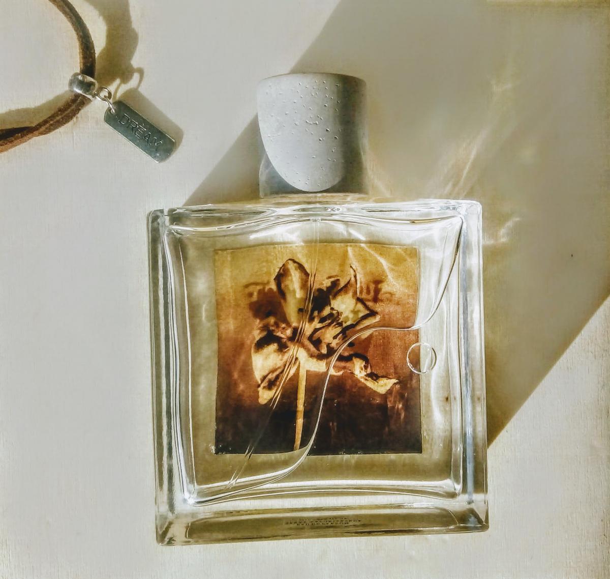 Sunset Riot - Allsaints - Gallery 3