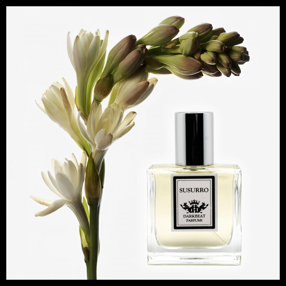 Susurro - Darkbeat Parfums - Gallery 3