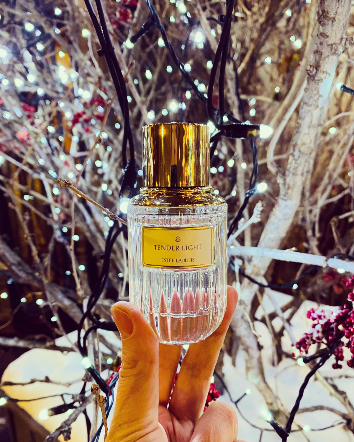 Tender Light - Estée Lauder - Gallery 2