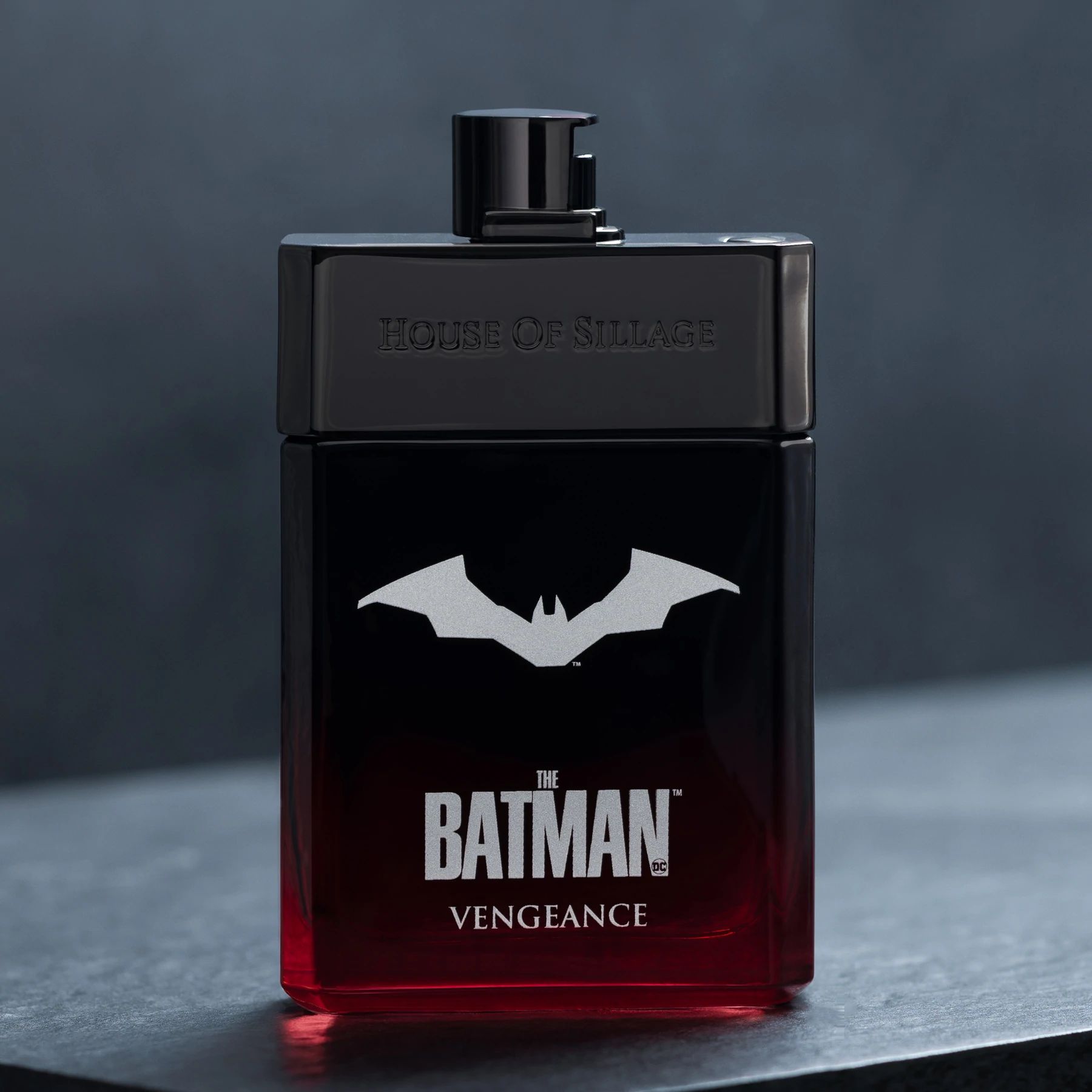 The Batman Vengeance - House Of Sillage - Gallery 1