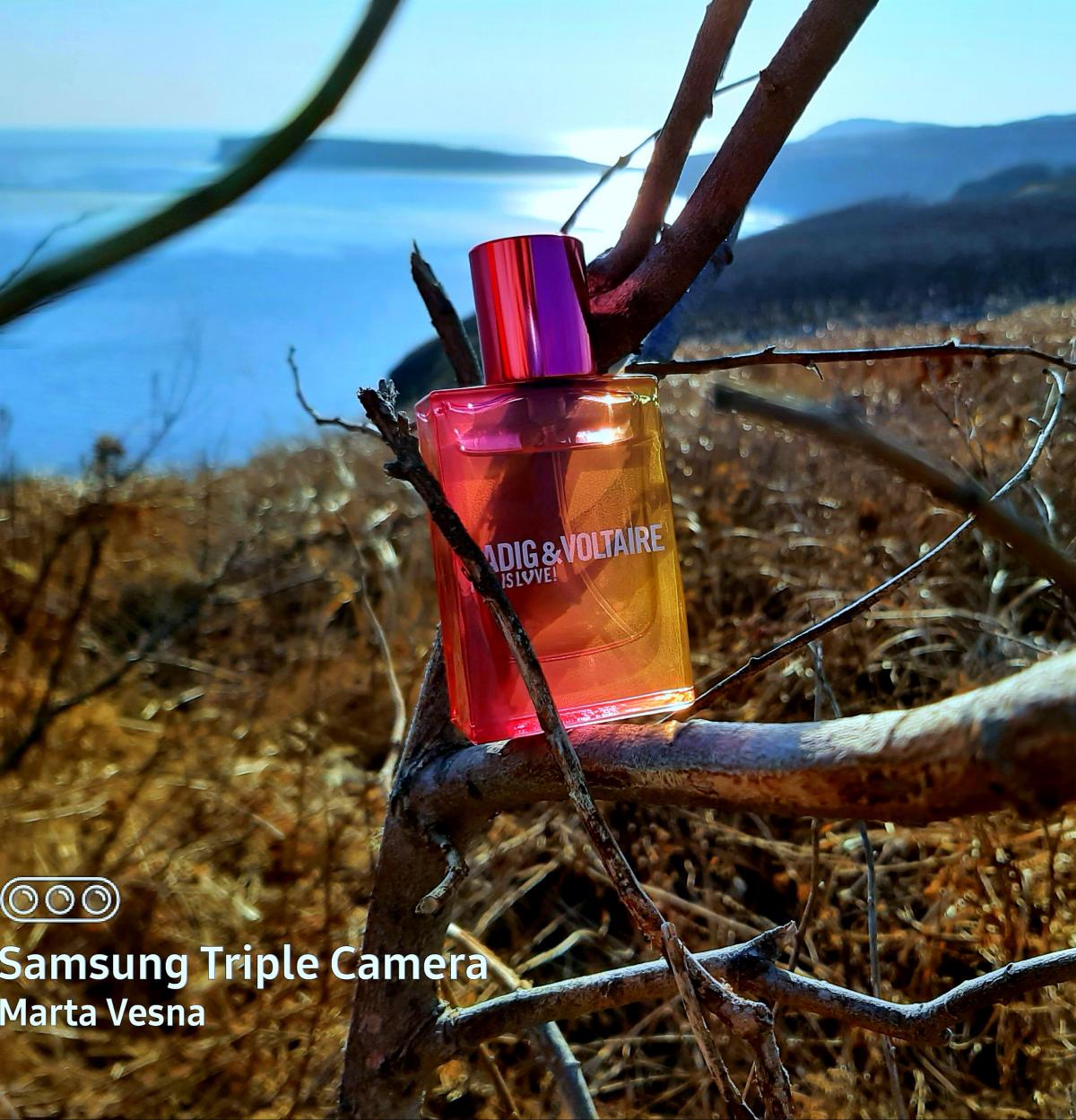 This Is Love! for Her - Zadig & Voltaire - Gallery 2