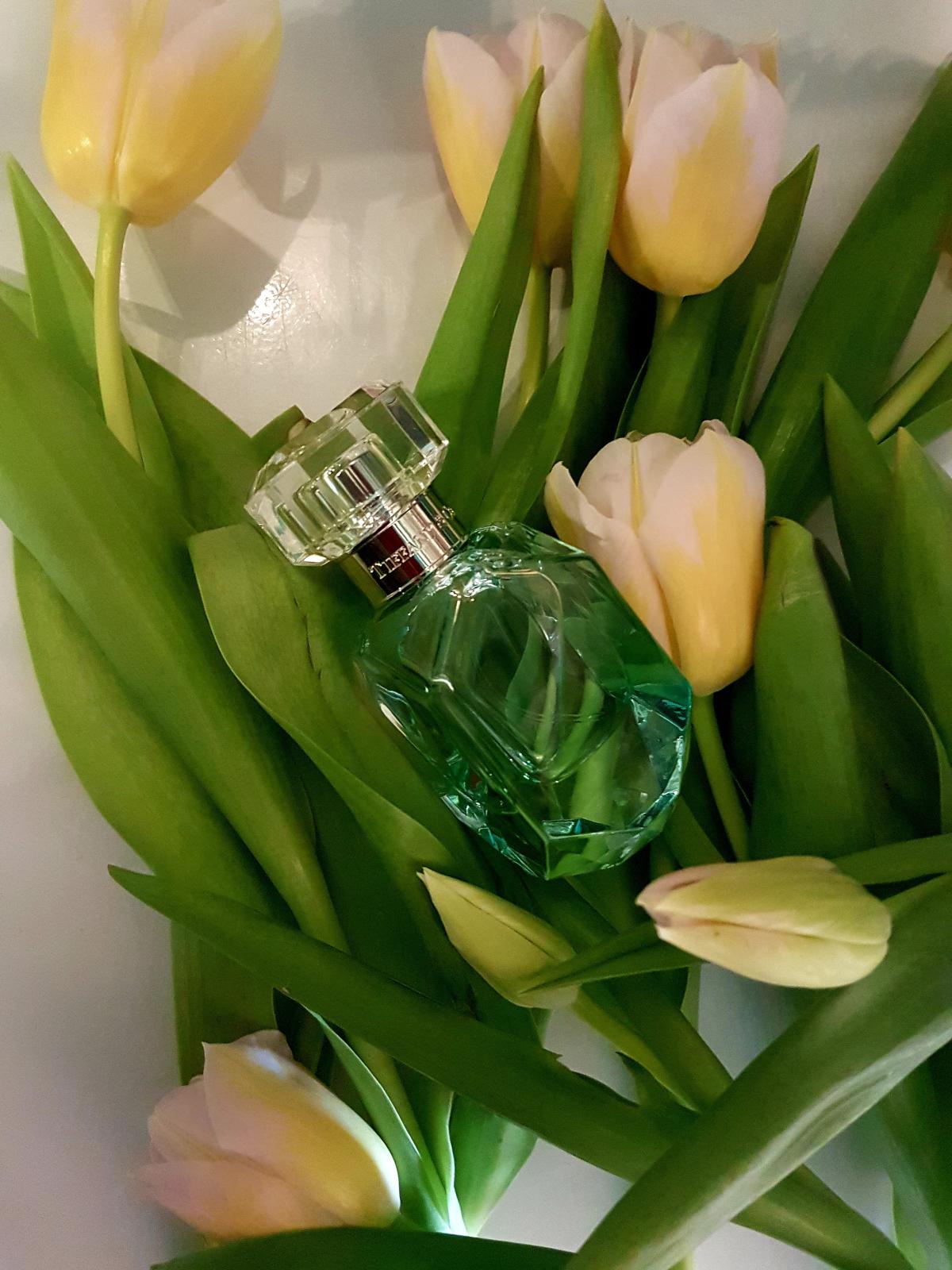 Tiffany & Co Intense - Tiffany - Gallery 1