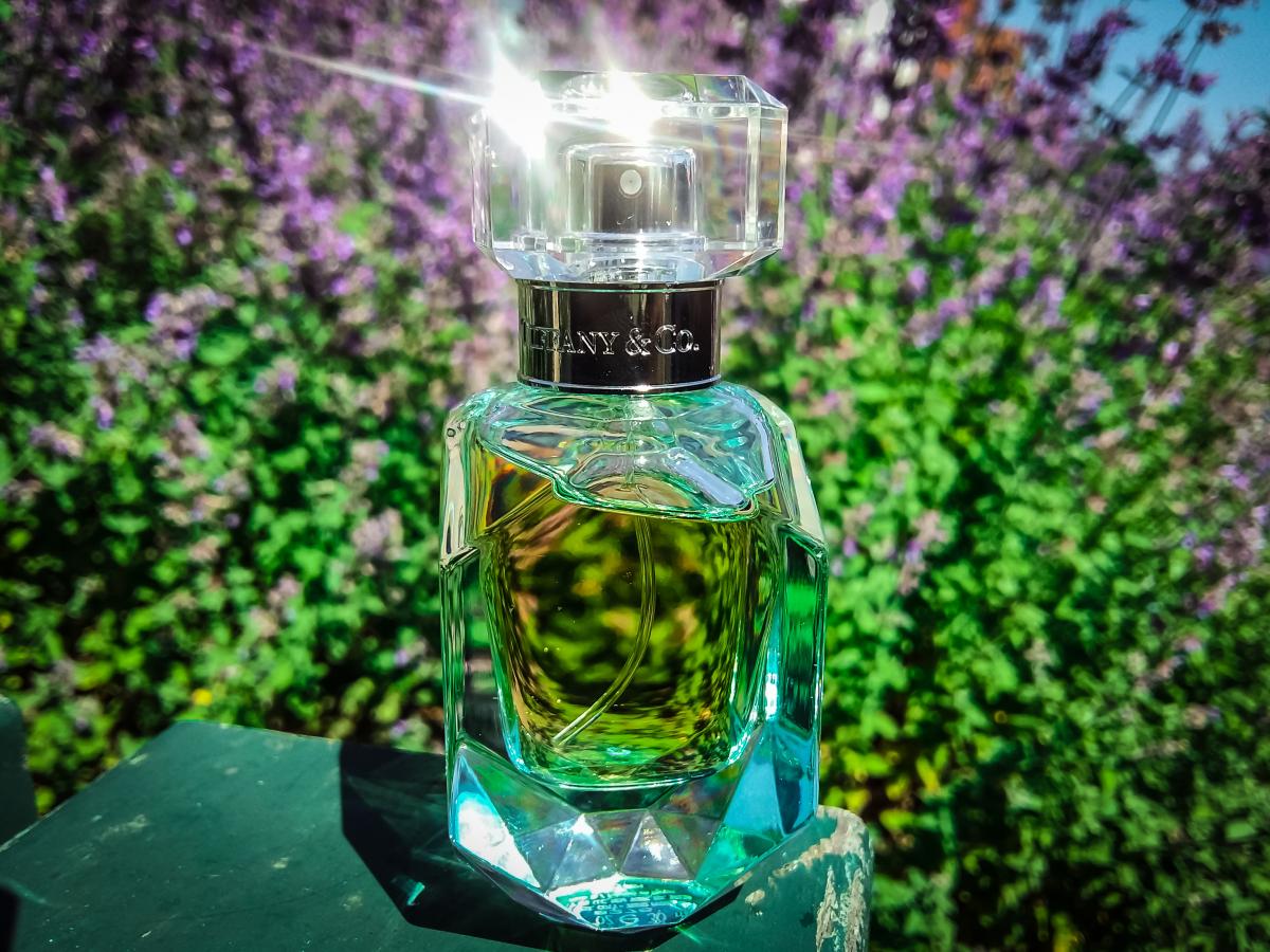 Tiffany & Co Intense - Tiffany - Gallery 3