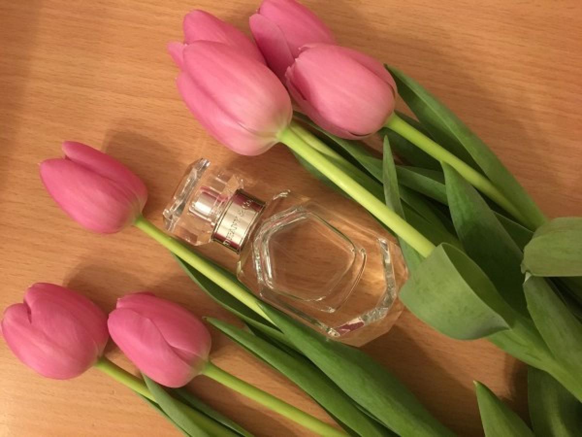 Tiffany & Co Sheer - Tiffany - Gallery 3