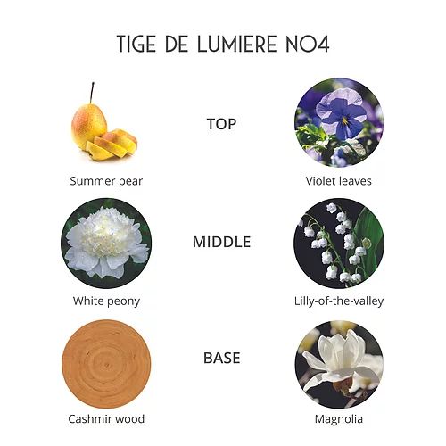 Tige De Lumiere - Façon Parfums - Gallery 3
