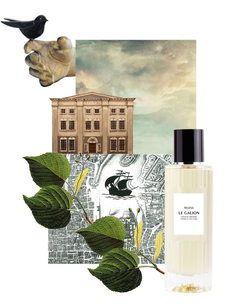 Tilleul - Le Galion - Gallery 1