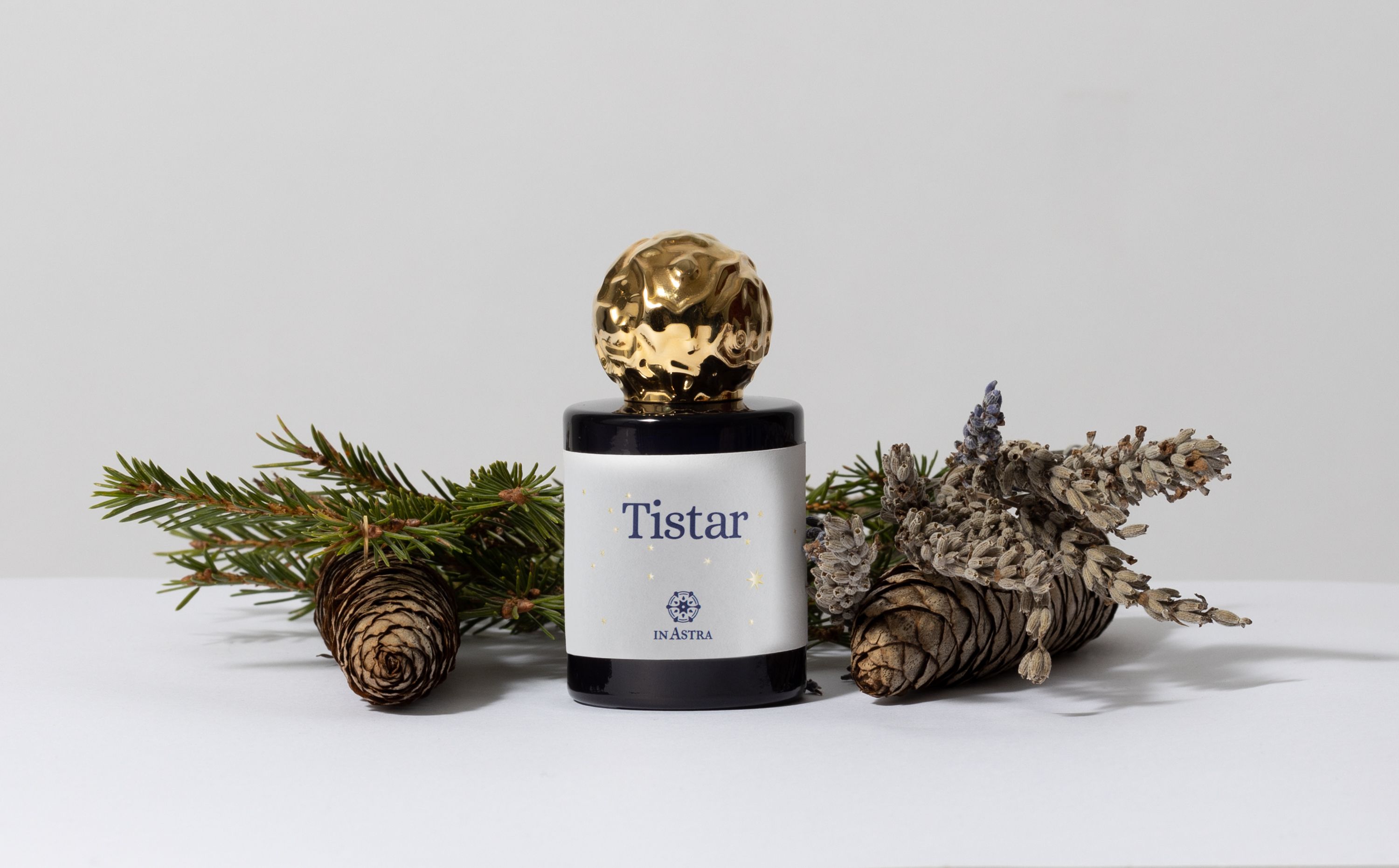 Tistar - In Astra - Gallery 2
