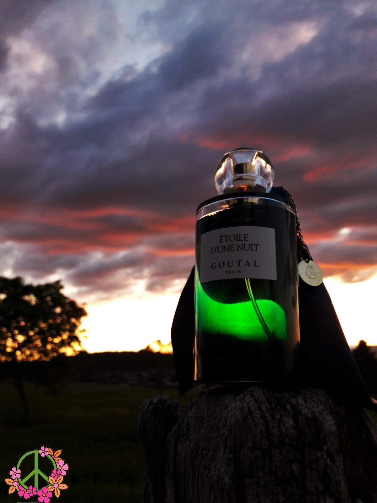 Étoile d'Une Nuit - Goutal - Gallery 2