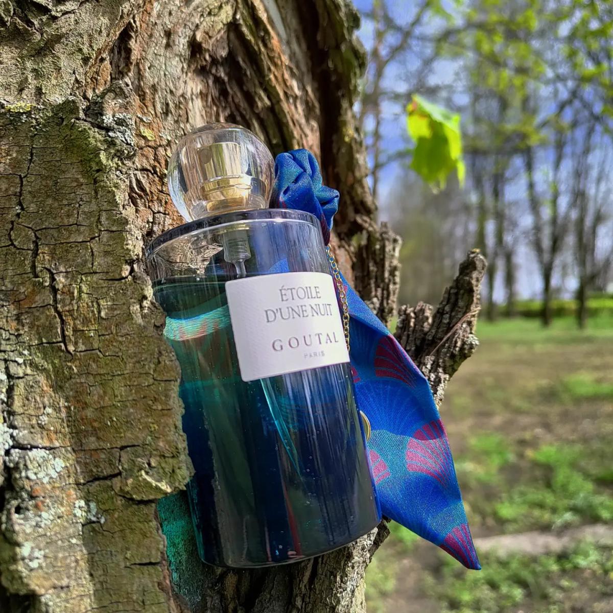 Étoile d'Une Nuit - Goutal - Gallery 3