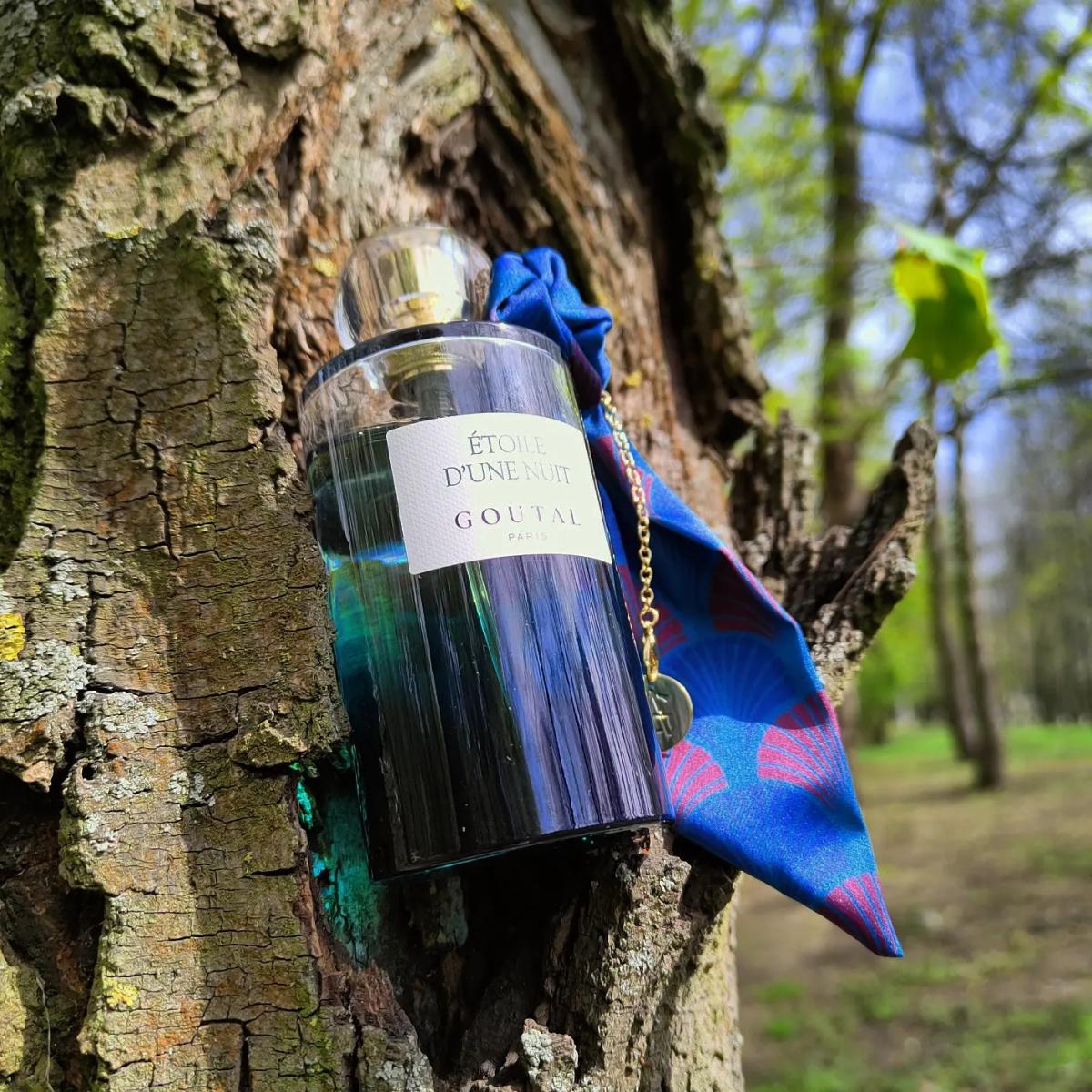 Étoile d'Une Nuit - Goutal - Gallery 4