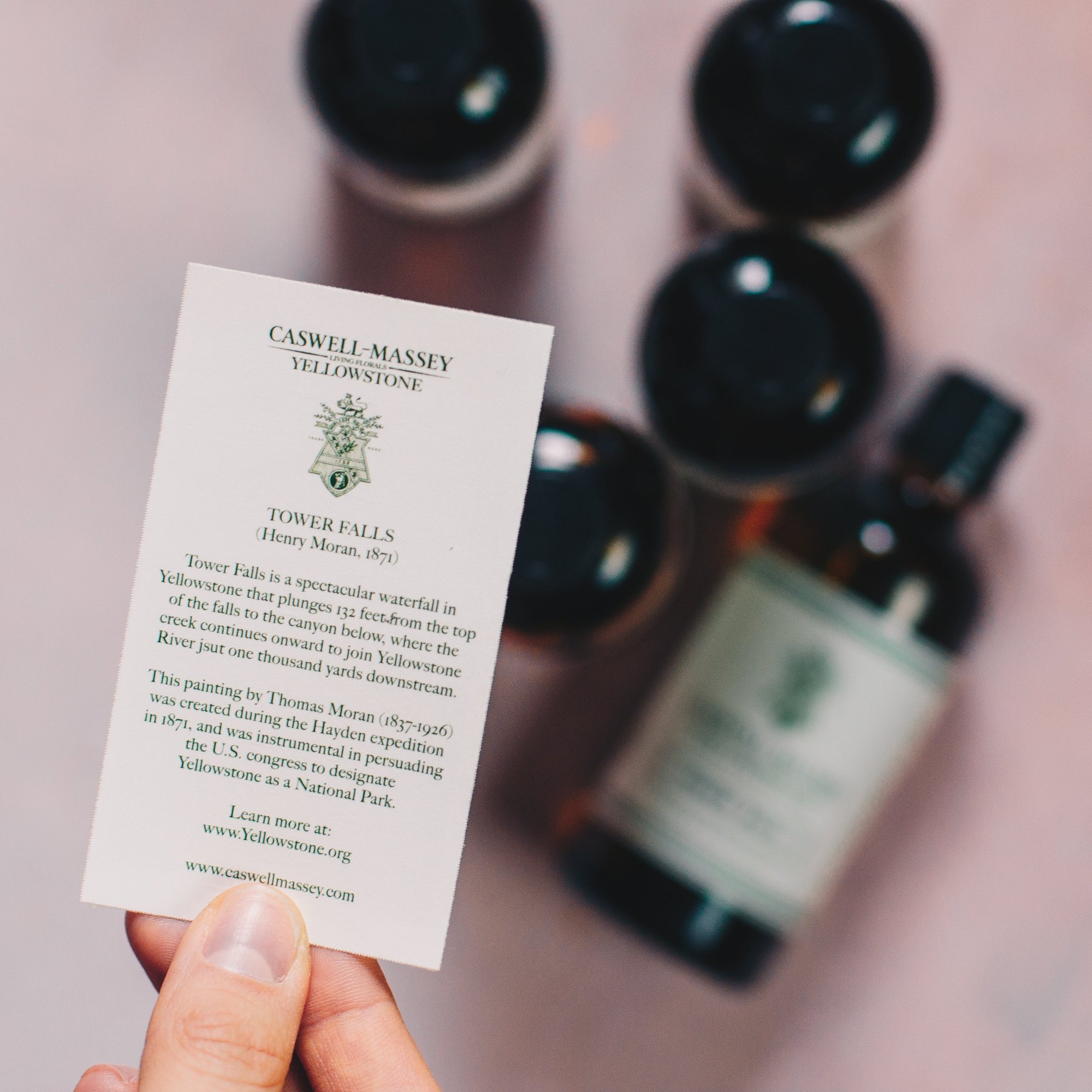 Tower Fall Fragrance Tonic - Caswell Massey - Gallery 3