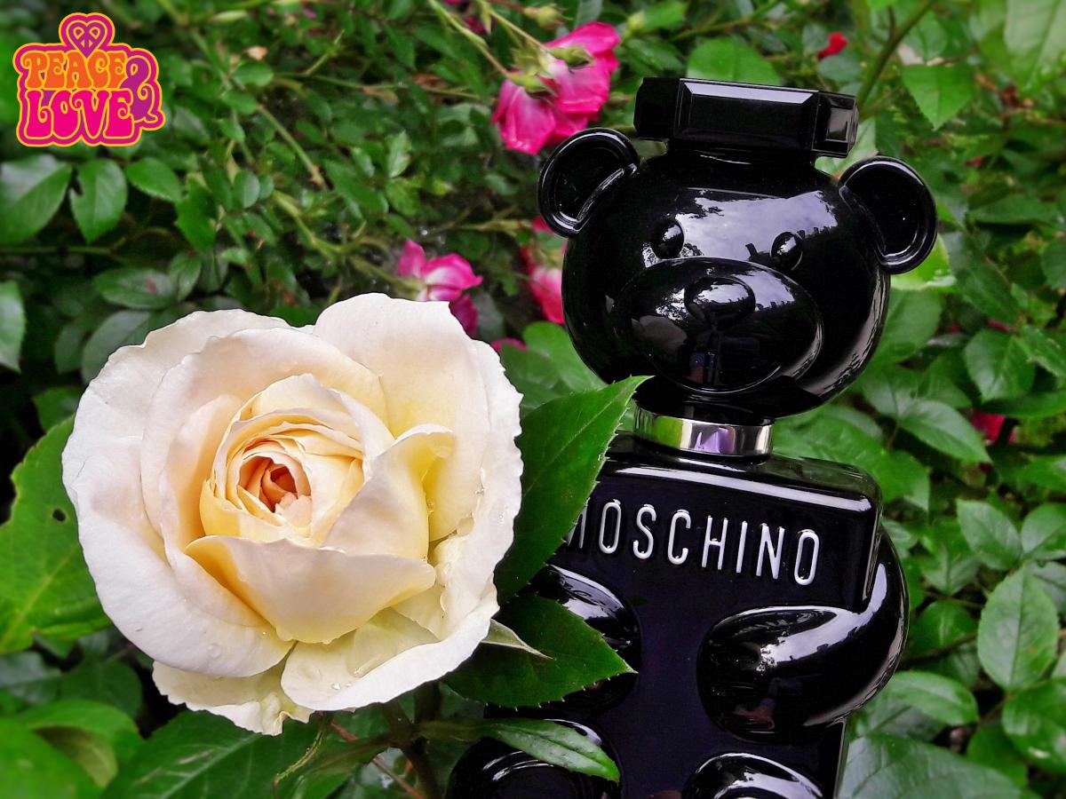 Toy Boy - Moschino - Gallery 4