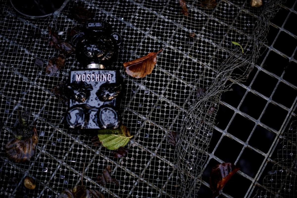Toy Boy - Moschino - Gallery 4