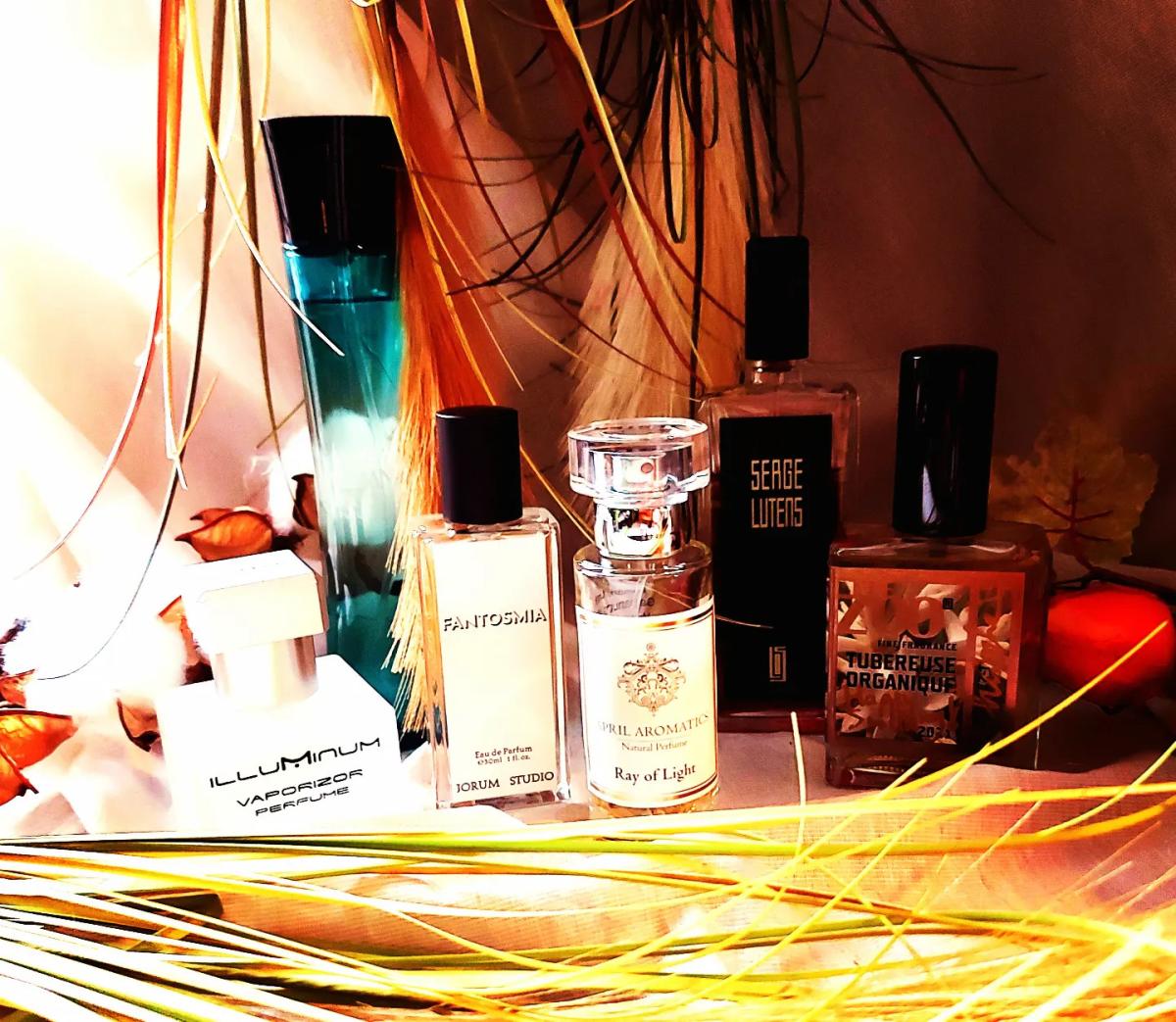 Tubereuse Organique - The Zoo - Gallery 1