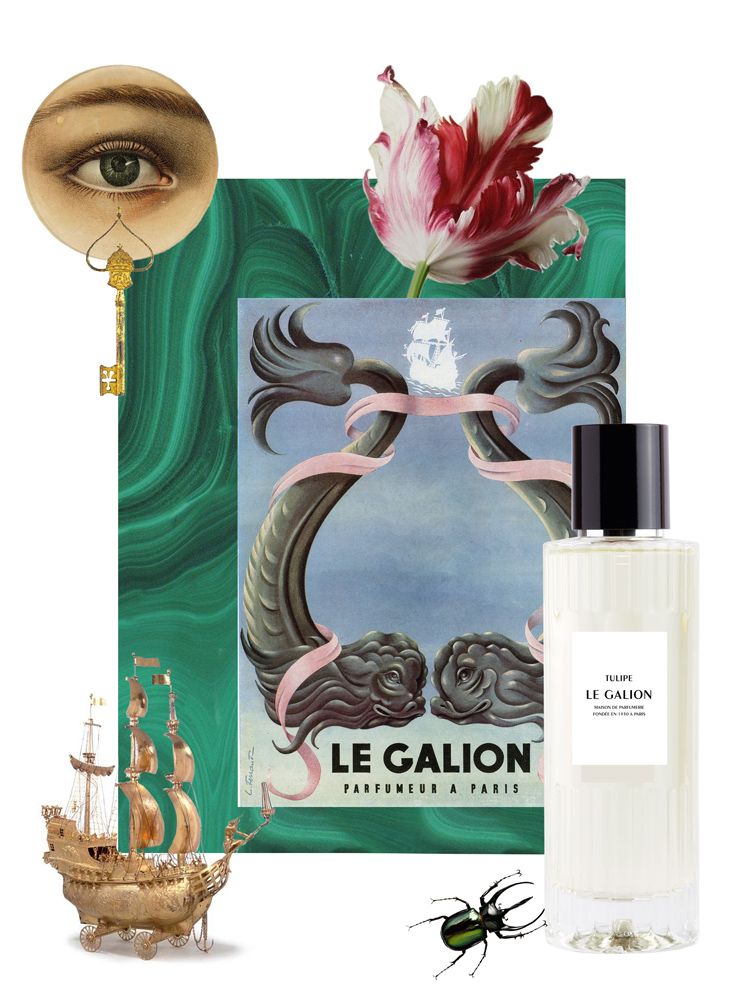 Tulipe - Le Galion - Gallery 1