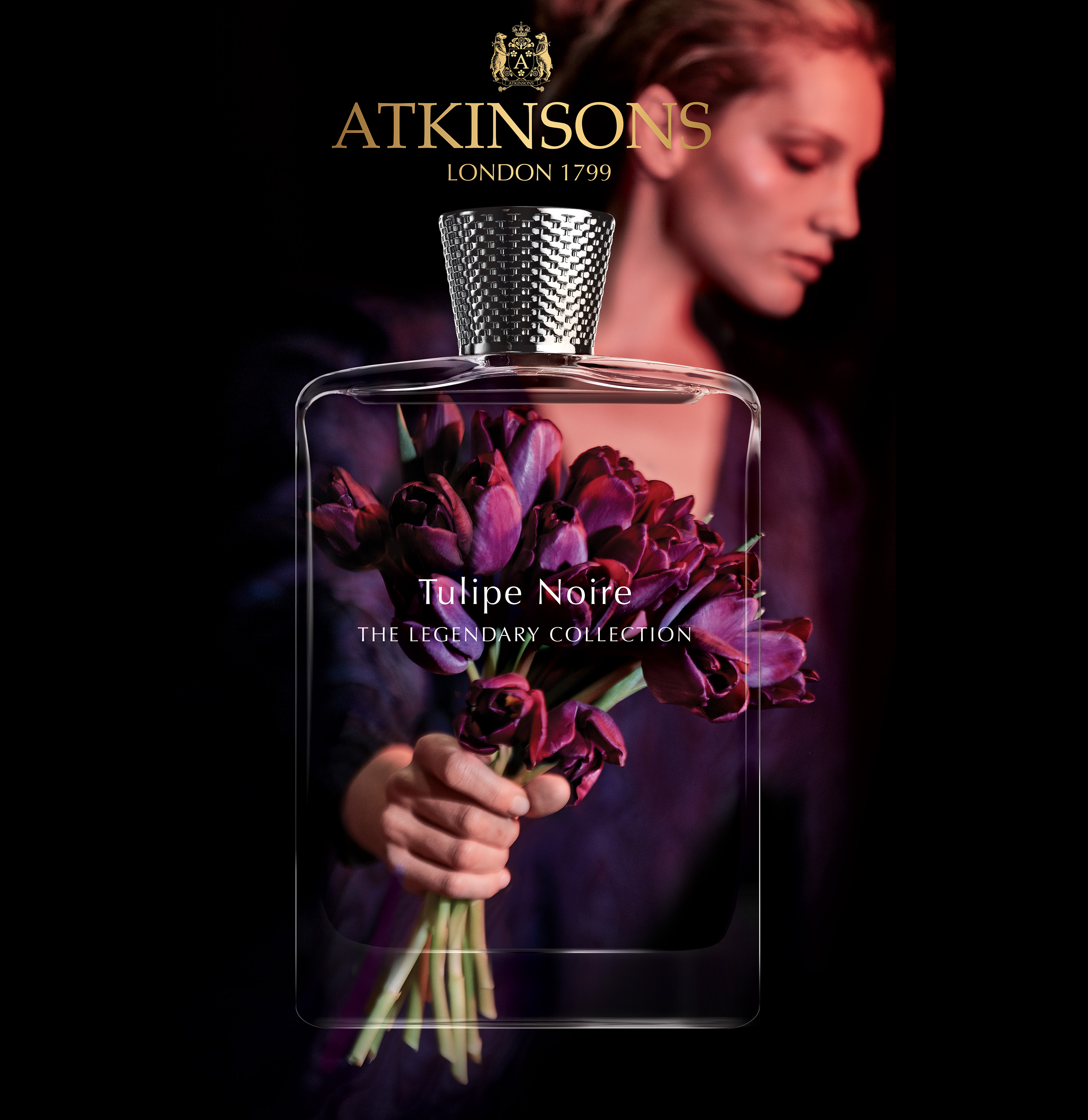 Tulipe Noire - Atkinsons - Gallery 2