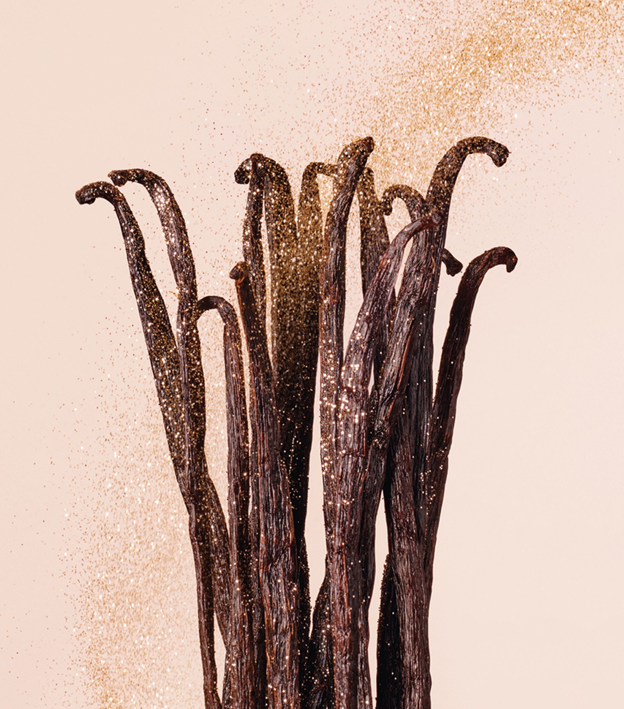 Vanilla Love - Jimmy Choo - Gallery 2