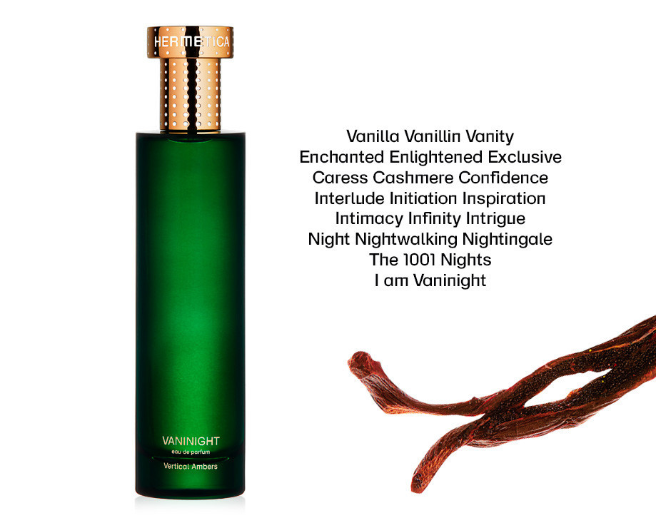 Vaninight - Hermetica - Gallery 2