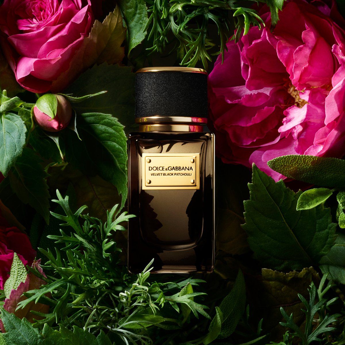 Velvet Black Patchouli - Dolce&Gabbana - Gallery 1