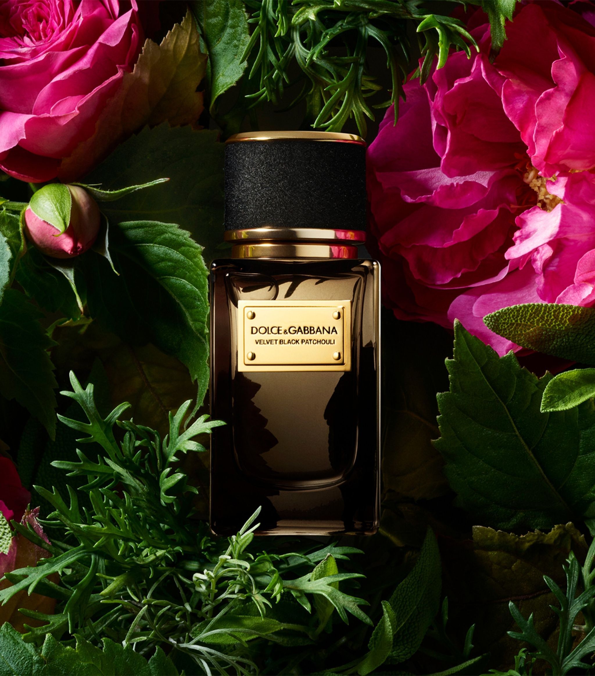 Velvet Black Patchouli - Dolce&Gabbana - Gallery 3