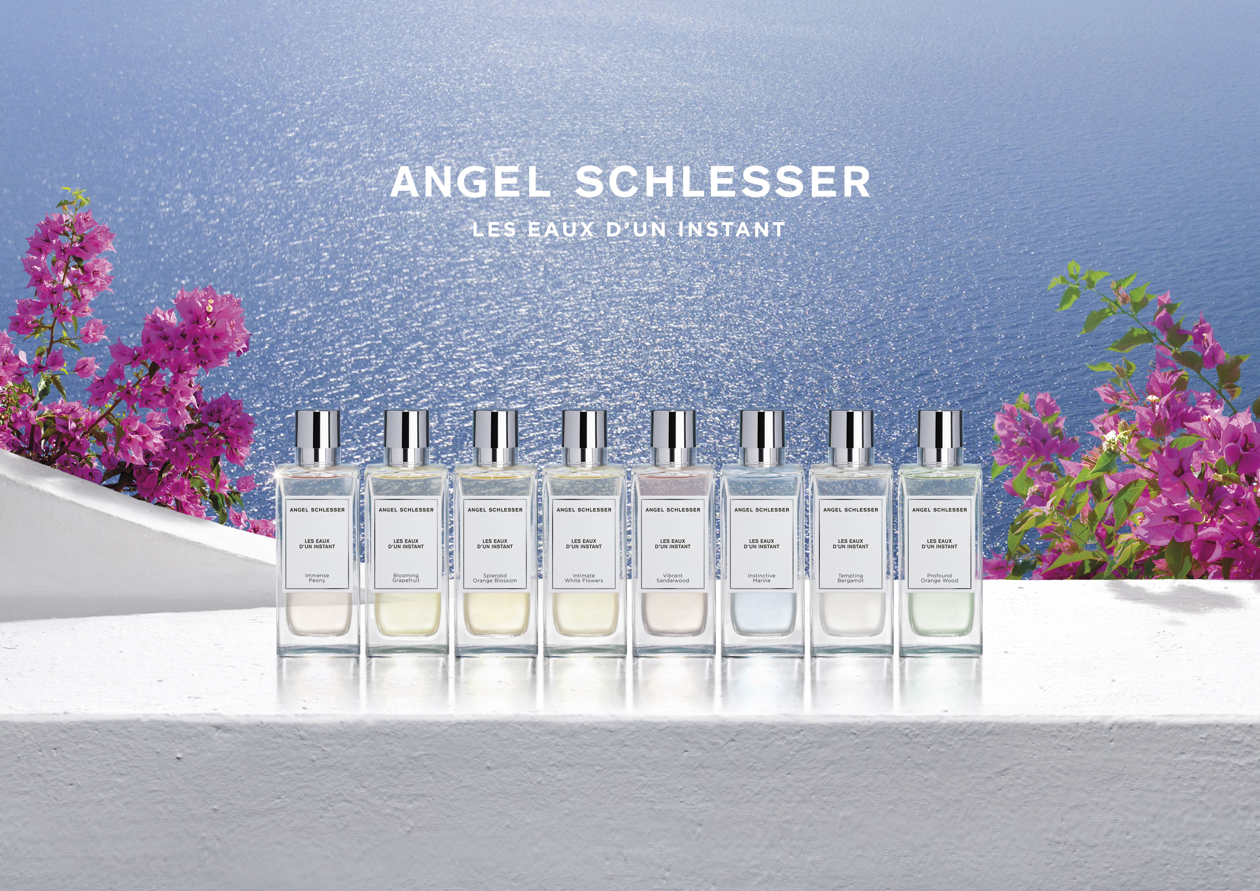 Vibrant Sandalwood - Angel Schlesser - Gallery 3