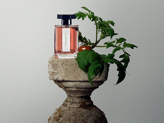 Vétiver Écarlate - L'Artisan Parfumeur - Gallery 2