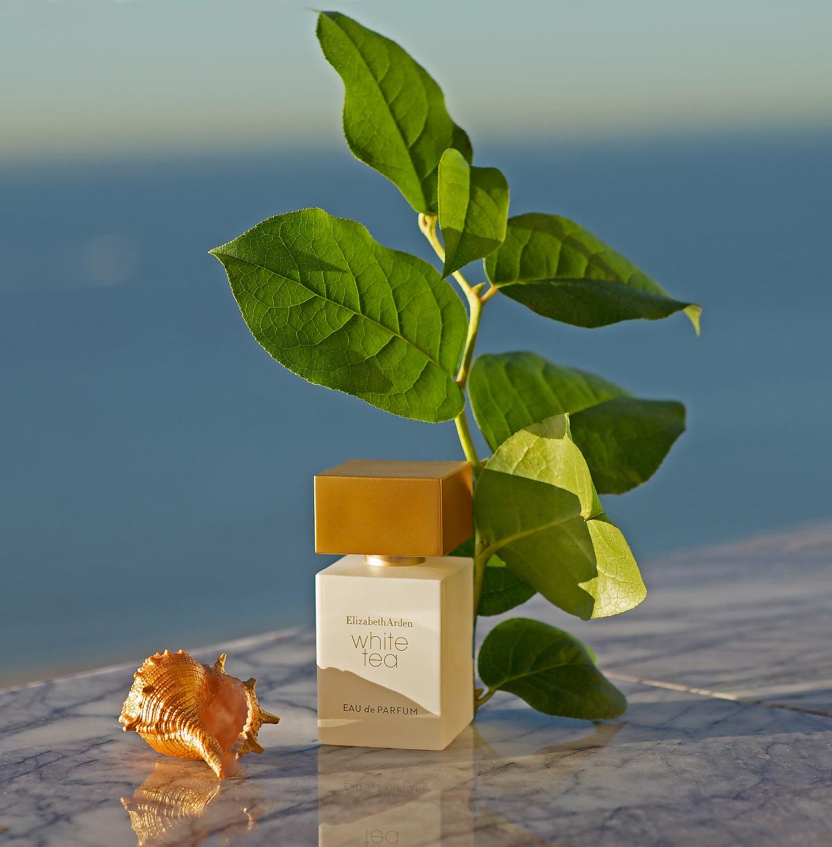 White Tea Eau de Parfum - Elizabeth Arden - Gallery 1