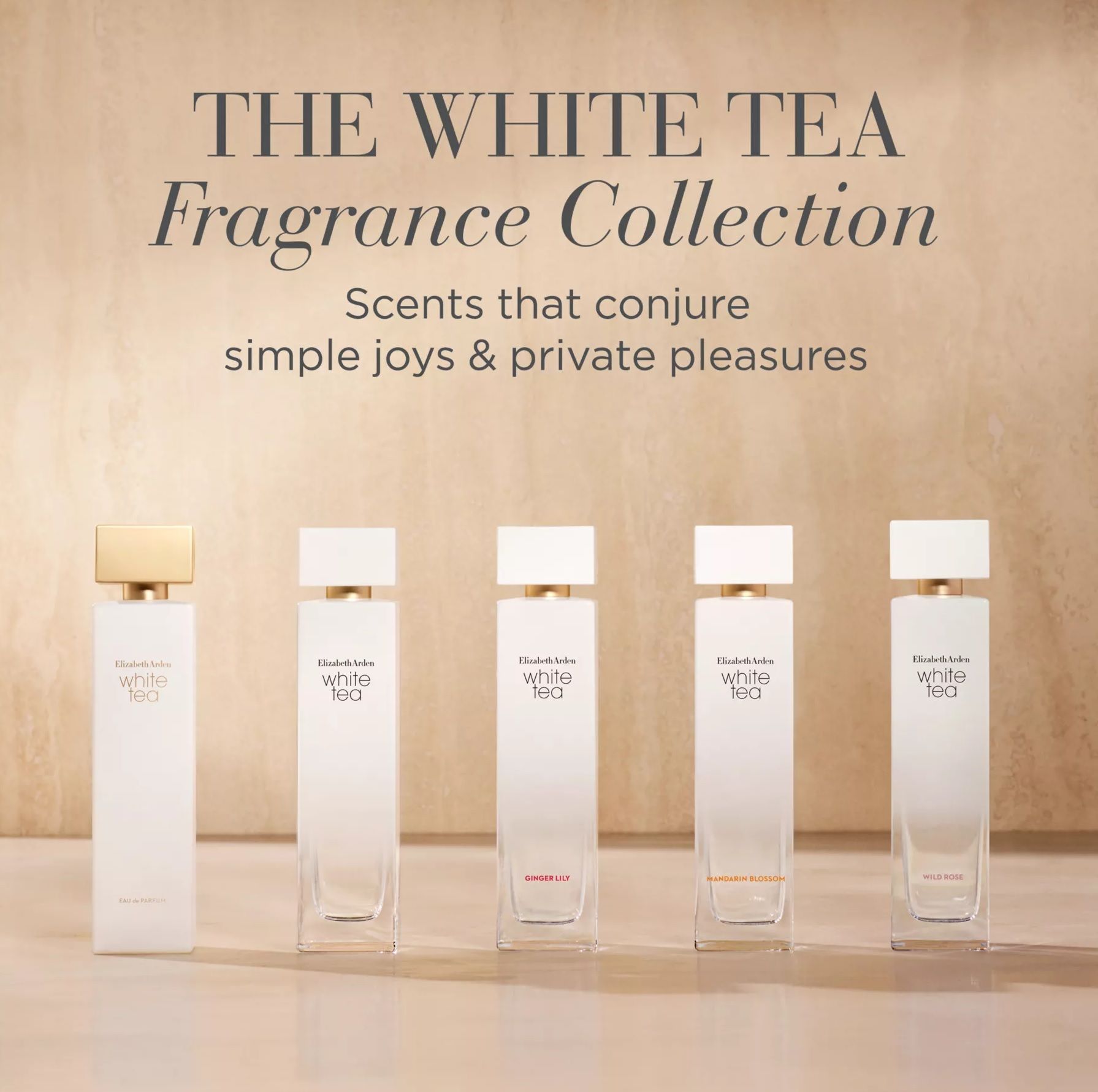 White Tea Eau de Parfum - Elizabeth Arden - Gallery 3