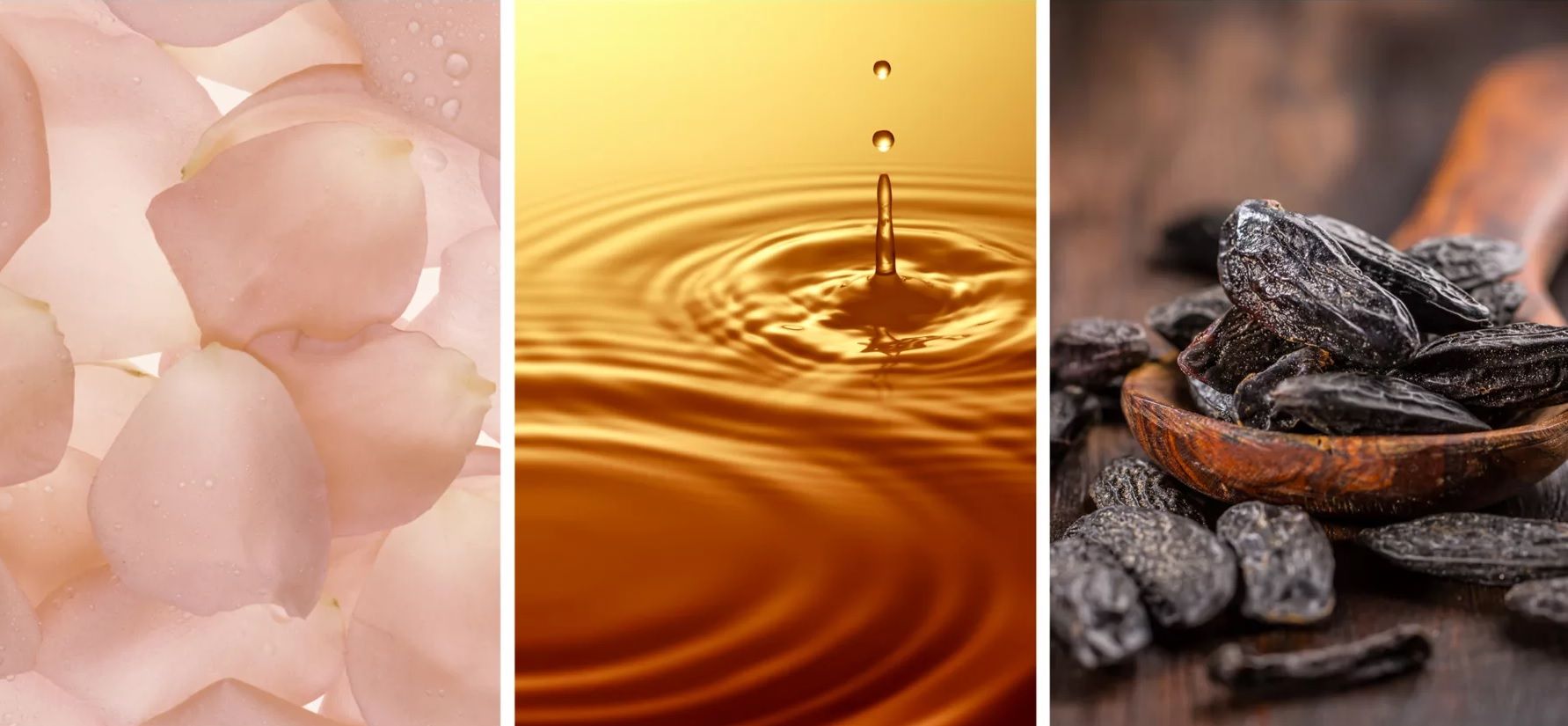 White Tea Eau de Parfum - Elizabeth Arden - Gallery 4