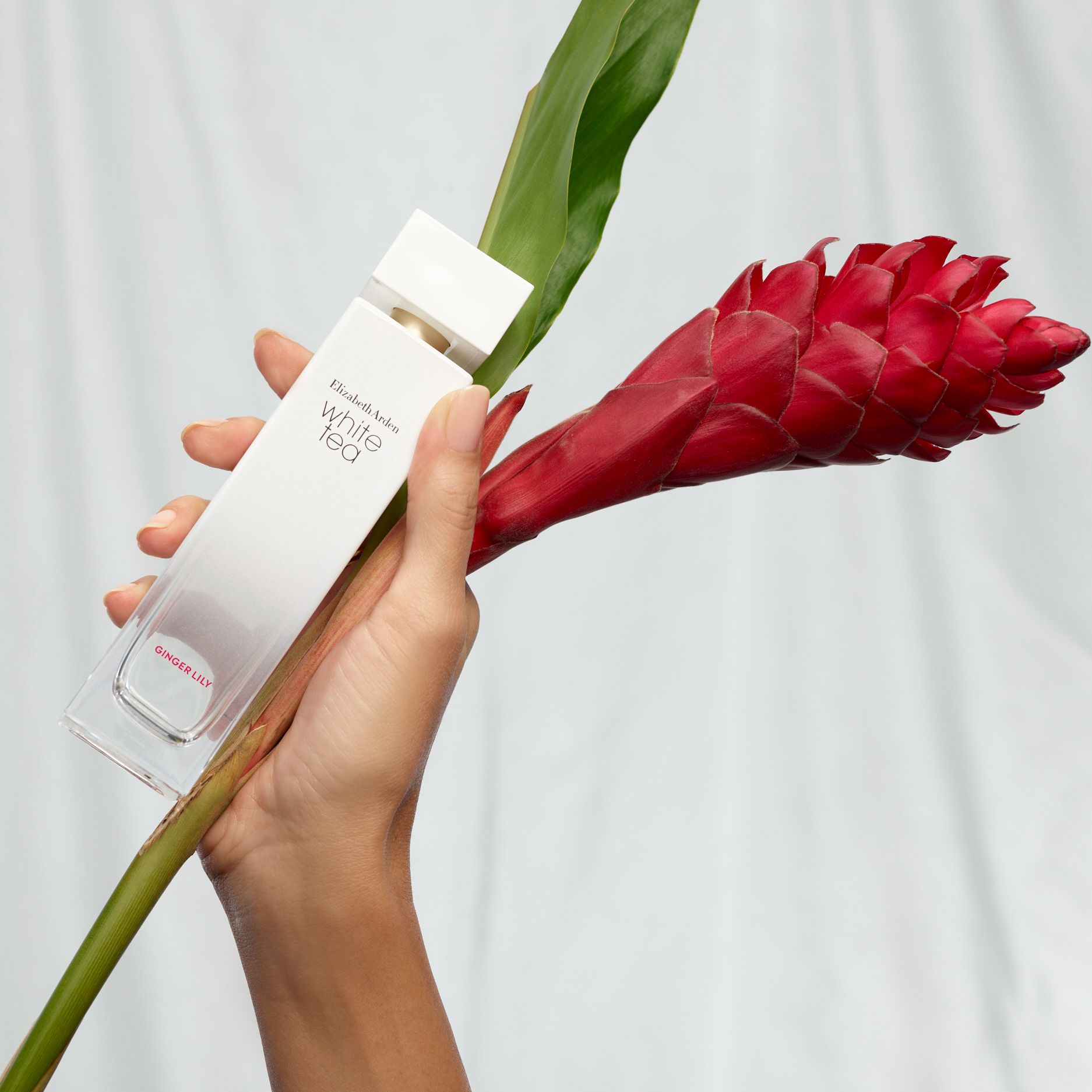 White Tea Ginger Lily - Elizabeth Arden - Gallery 4