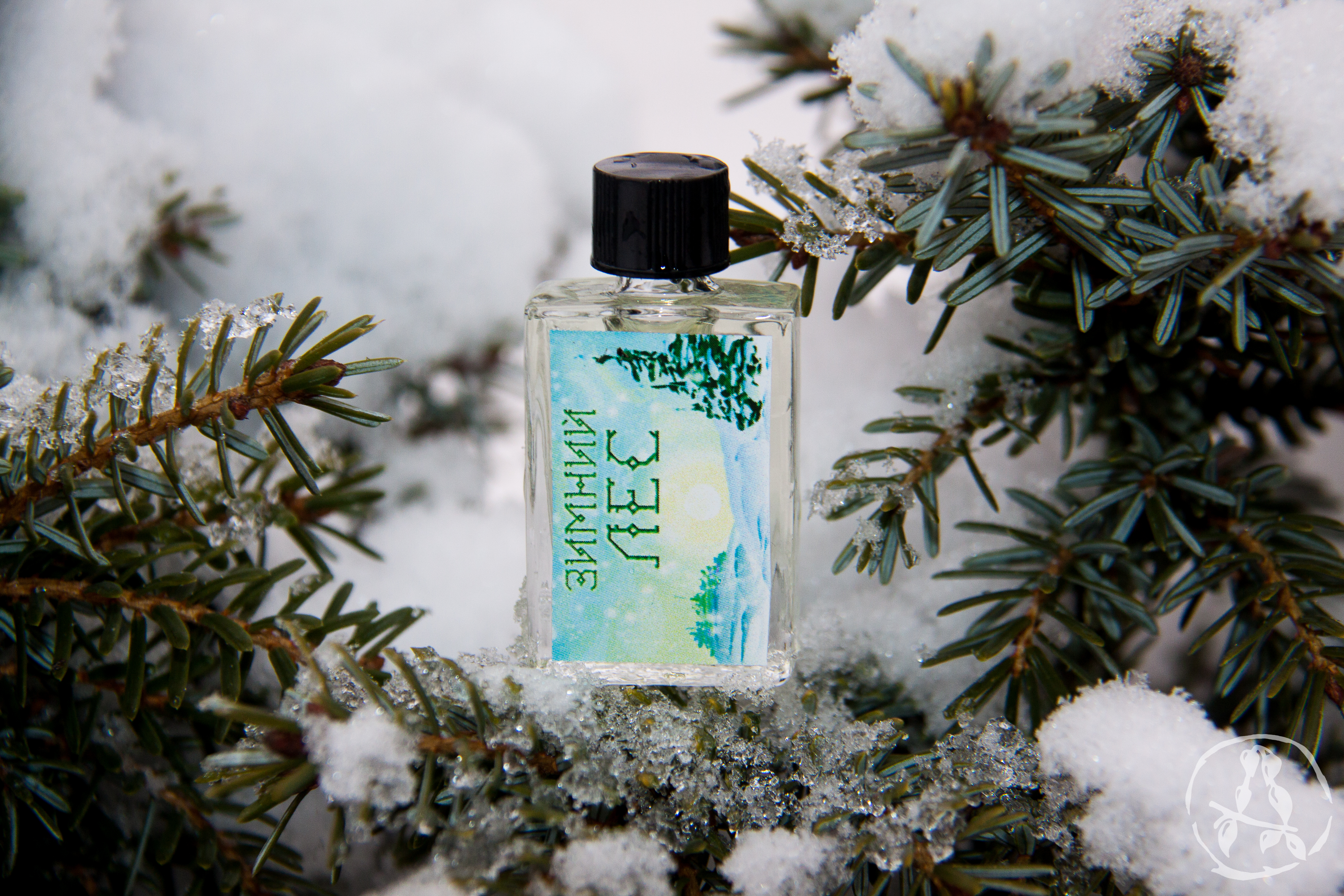 Winter Forest (Зимний лес) - Acidica Perfumes - Gallery 1