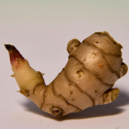 african ginger