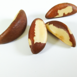 brazil nut