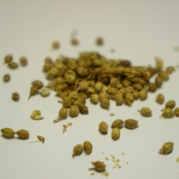 celery seeds