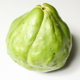 choya loban