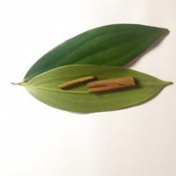 cinnamon leaf