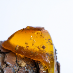 fir resin