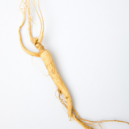 ginseng