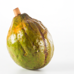 guaiacol