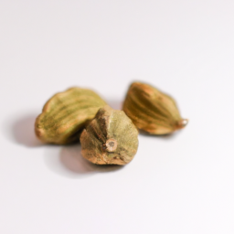 guatemalan cardamom