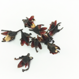 hibiscus seed