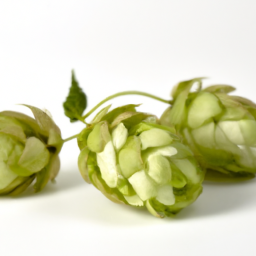 hops