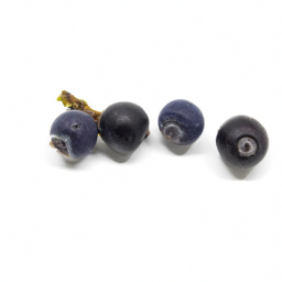 juniper berry
