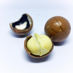 macadamia