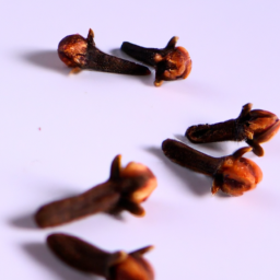 madagascar cloves