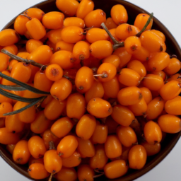 sea buckthorn